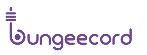 Bungeecord-logo-0۵.png