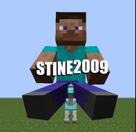 Stine2009