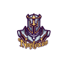 Neplexus