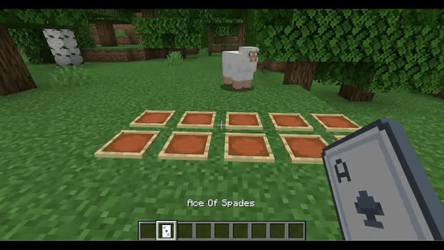 I added cards to minecraft