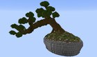 A bonsai I made