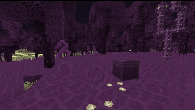 I added a biome in the end, the chorus forest