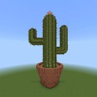 Very exciting cactus