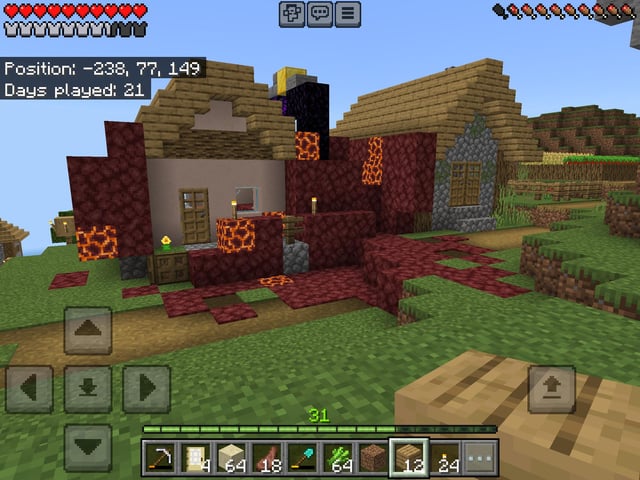 Y’all ever see a nether portal house?