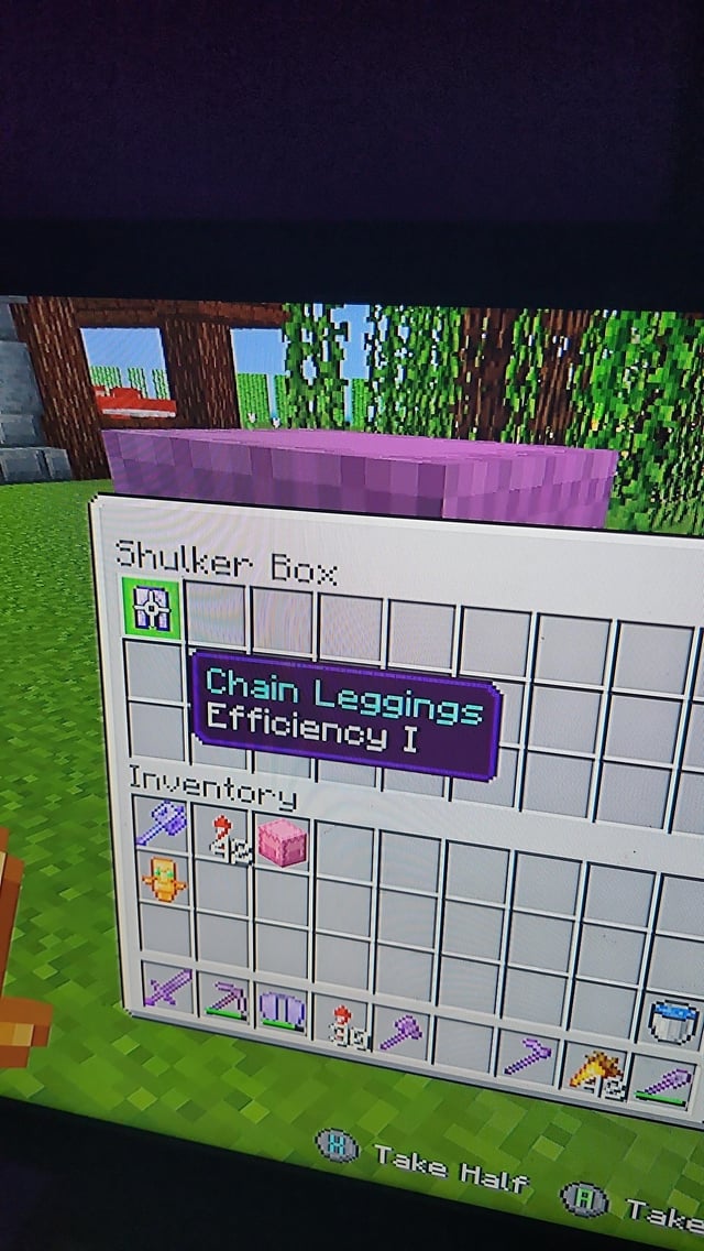 I found this in a mansion, not really sure if thi was intended on Mojang's part... 