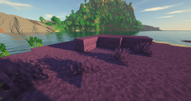 Grass is purple (and grey). Is this a bug and how do I fix it? It doesn't go away when I disable shader and texture pack.
