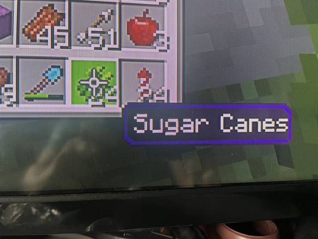 I’m sorry since when was this called sugar caneS with an S