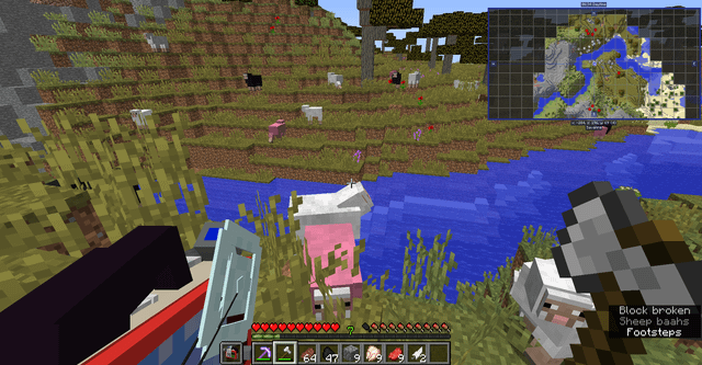 Found 3 pink sheep in the same place.