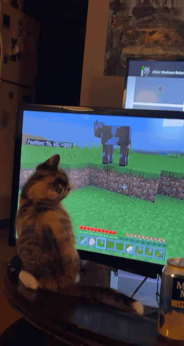 Kitten plays Minecraft?