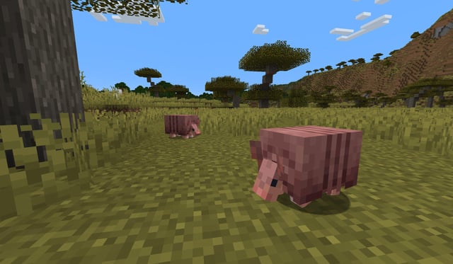 New Armadillo Texture from Minecraft's Twitter. Coming to a snapshot/Beta in 2024.
