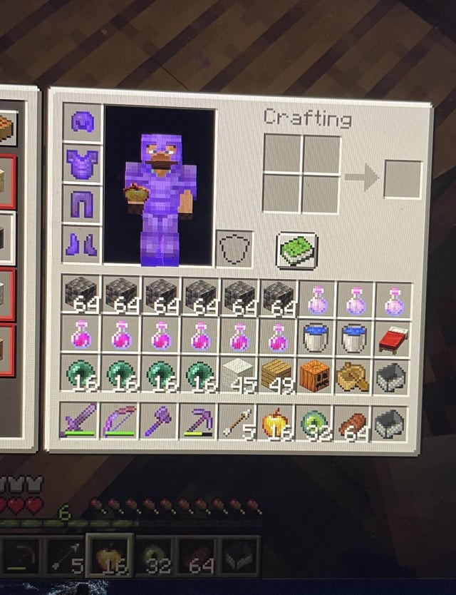I‘m gonna fight the ender dragon for my first time ever... how do i look? any tips? (java)