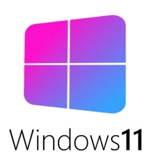 Windows 11 Pro Lite 21H2 Build 22000.613 (No TPM Required) x64 Preactivated