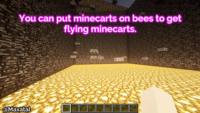Putting Minecarts on Bees can make some interesting minigames