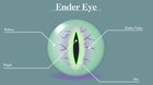Had a bit of time to kill so I made an ender eye with some biology stuff!