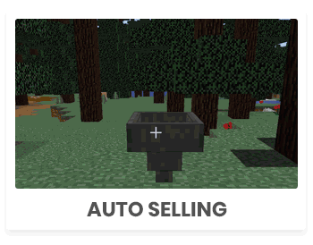 autoselling.gif