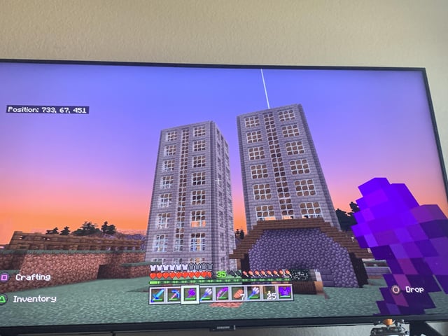 I accidentally built the twin towers