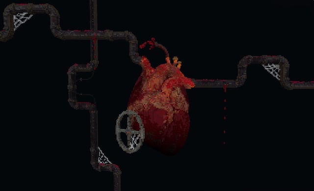 Valve guy's heart