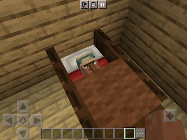 Baby villager sleeping in his crib