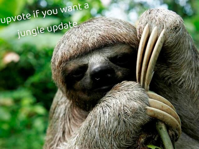 ya I like sloths